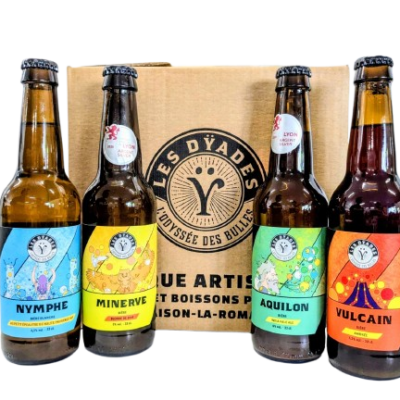 Carton 12 bières mixtes