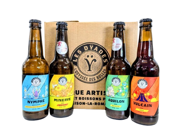 Carton 12 bières mixtes
